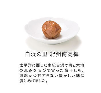 箱入り4.5kg】紀州南高梅白干し 見苦しく